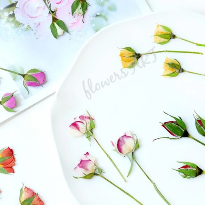 Gepresste Rosenknospen-Blütenb – Photo Frame Baby Bewertung und Preis