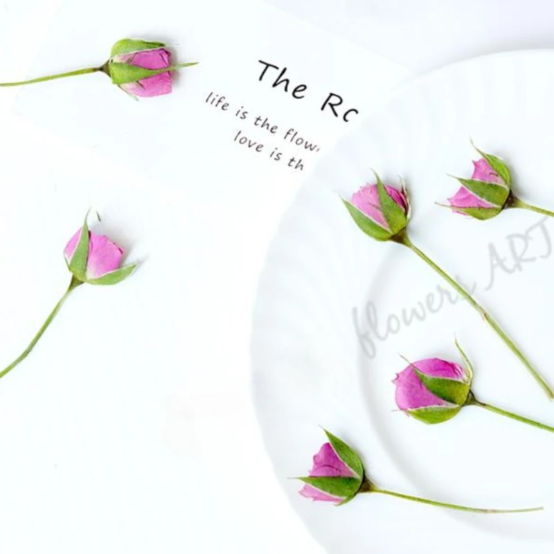 Gepresste Rosenknospen-Blütenb – Photo Frame Baby Bewertung und Preis
