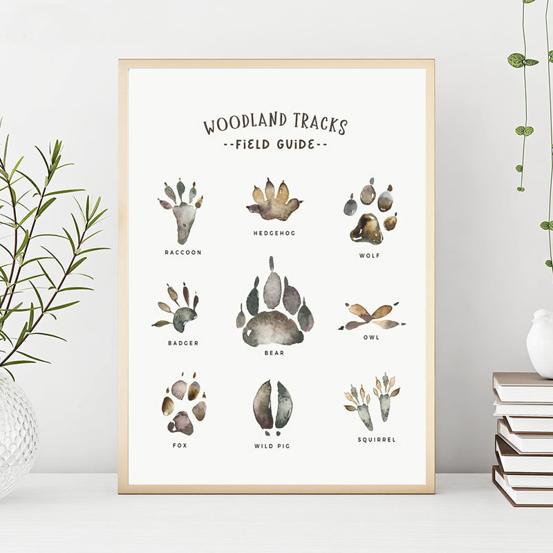 Fuchs Waschbär Eule Wolf Wald  – Baby Nursery Posters Bewertung und Preis