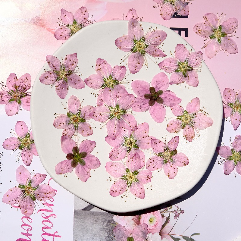 3-4cm./6Stück, Rosa Pfirsichbl – Photo Frame Baby Bewertung und Preis